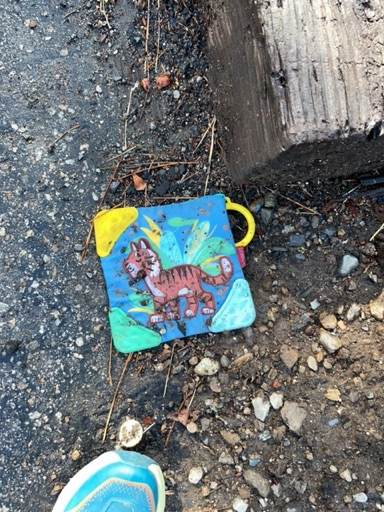 Trash near Sierra Nevada Road, Mammoth Lakes, Mono County, CAL Fire Southern Region, California, 93546, United States