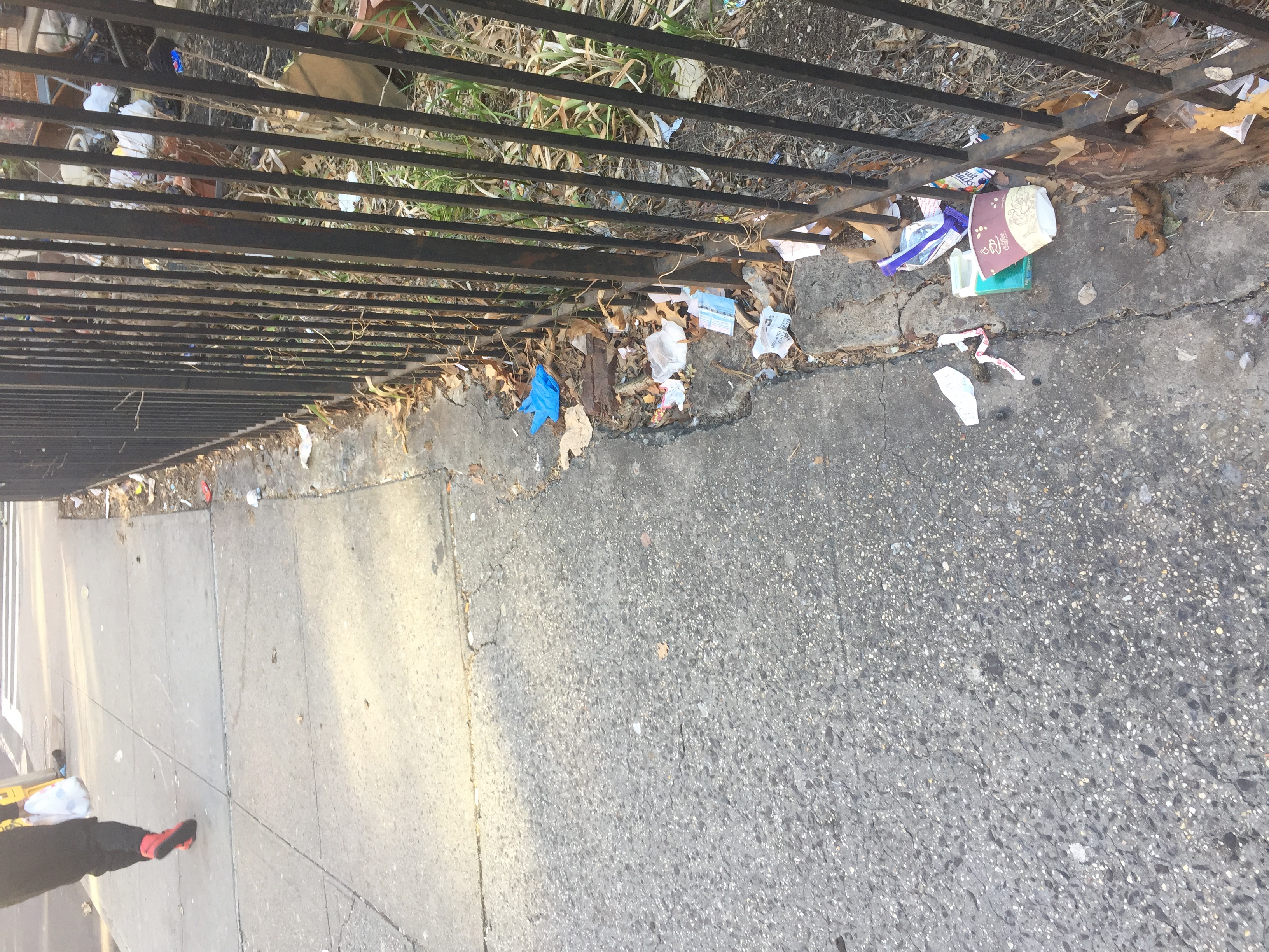 Trash near 1890 Lexington Ave, New York, NY 10035, USA