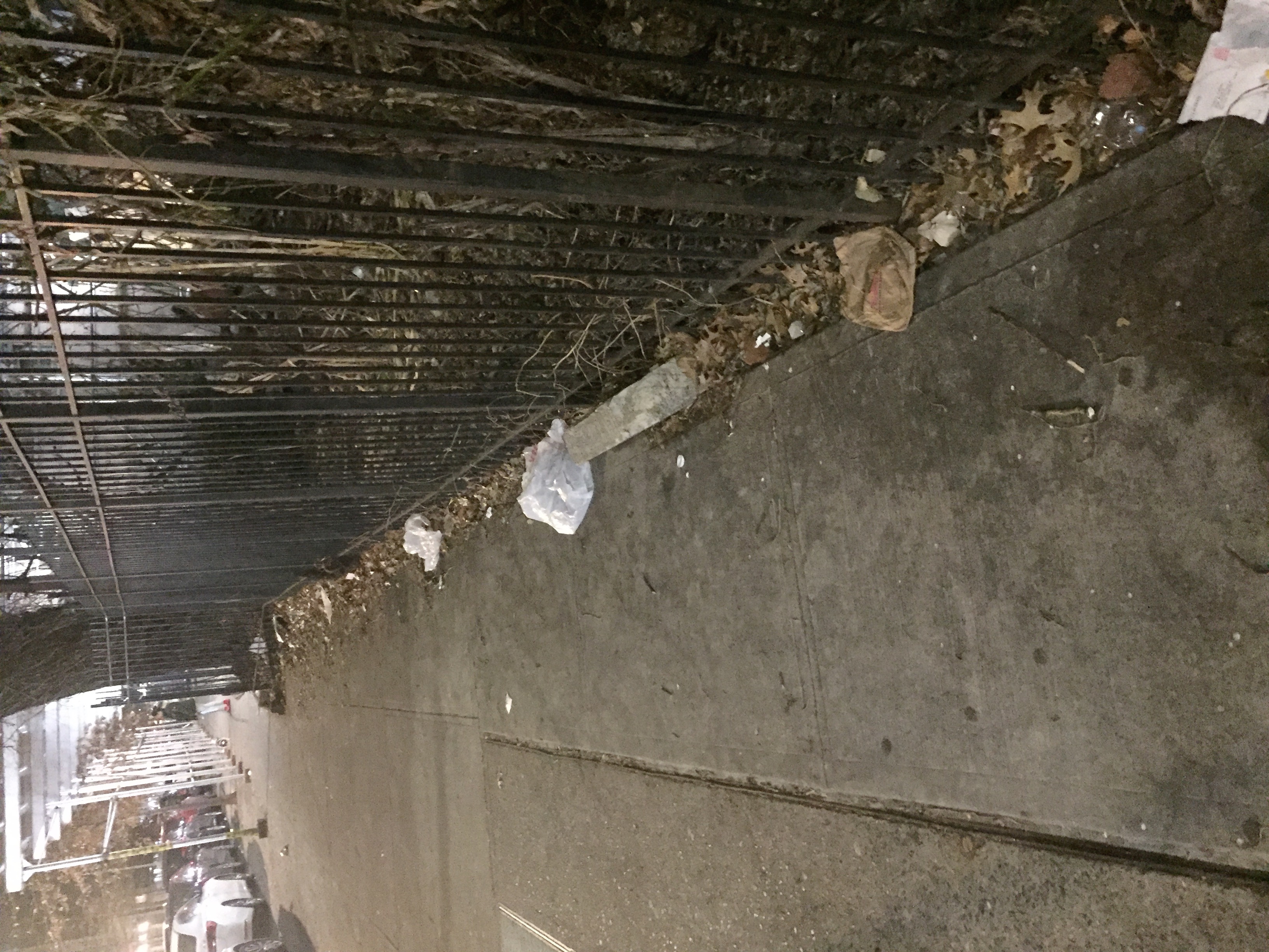 Trash near 127 E 117th St, New York, NY 10035, USA