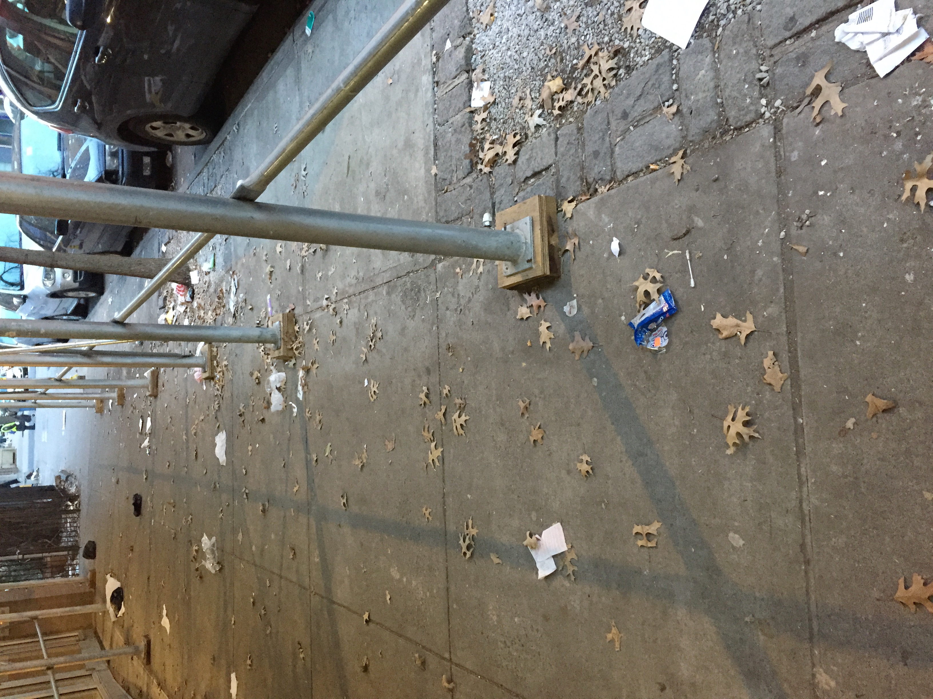 Trash near 149 E 118th St, New York, NY 10035, USA