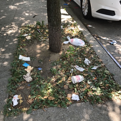 Trash near 1697 Park Avenue, New York