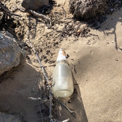 Trash near Tioga Avenue, Sand City, Monterey County, California, 93955, United States