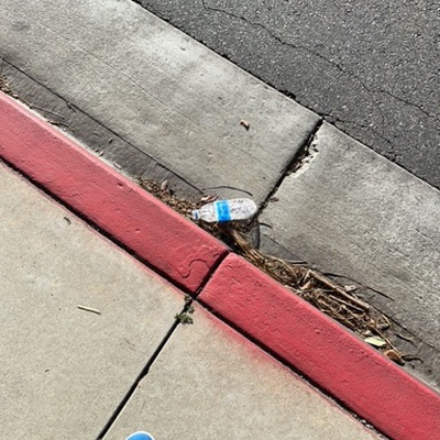 Trash near Wilshire Boulevard, Beverly Hills, Los Angeles County, California, 90211, United States