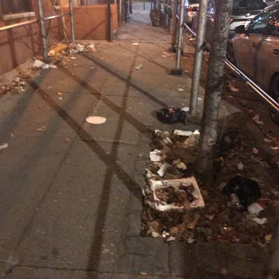 Trash near 166 East 119th Street, New York City