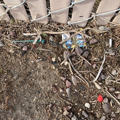 Trash near Best Western, West Side Freeway, Bakersfield, Kern County, California, 93206, United States
