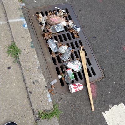 Trash near Public School 171, 30th Avenue, Astoria, Queens, Queens County, New York, 11102, USA