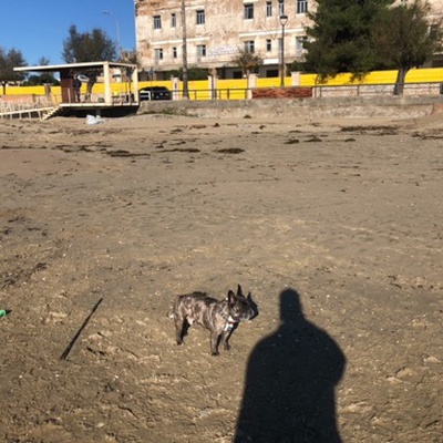 Trash near Viale Circe, Terracina, Latina, Lazio, 04019, Italy