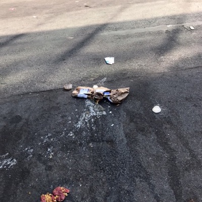 Trash near 1961 Hughes Avenue, New York