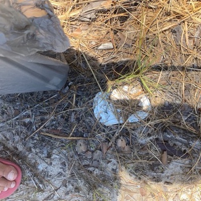 Trash near Ashton Look, Ormond Beach, Volusia County, Florida, 32174, United States