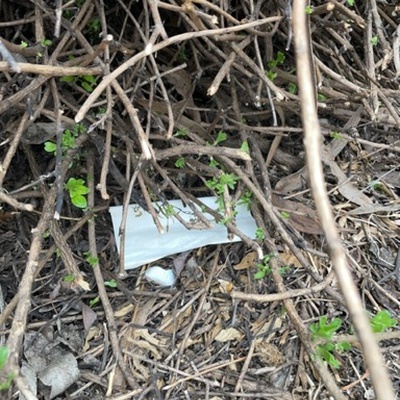 Trash near Will Rogers State Historic Park, Bashford Street, Pacific Palisades, Los Angeles, California, 90402, United States