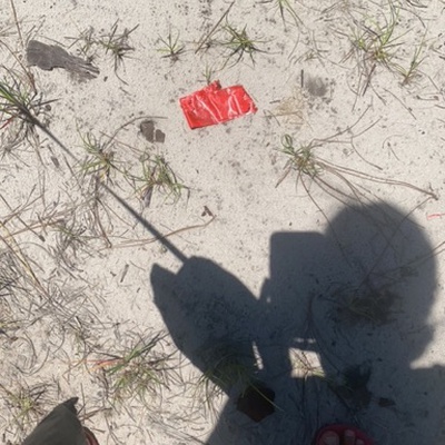 Trash near 3237, State Road 40, Ormond Beach, Volusia County, Florida, 32174, United States