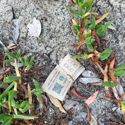 Trash near Ritz Carlton Drive, Dana Point, Orange County, CAL Fire Southern Region, California, 92629, United States