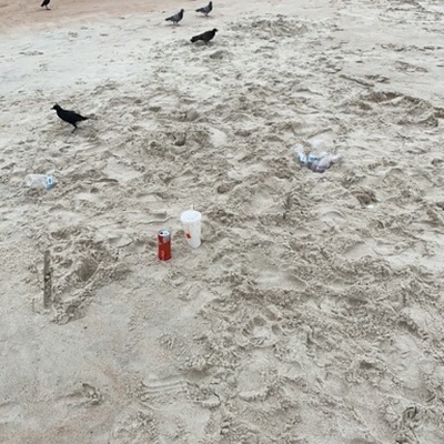 Trash near Milsap Road, Ormond Beach, Volusia County, Florida, 32176-8105, United States