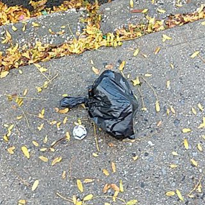 Trash near 14-14 29th Avenue, New York