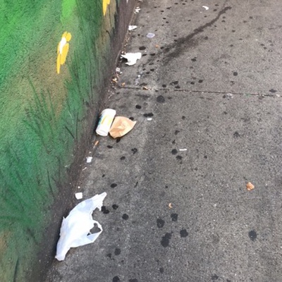 Trash near 1918 Arthur Avenue, New York