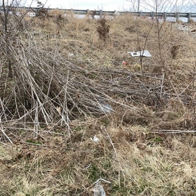 Trash near 142, 185, Oak Grove Village, Franklin County, Missouri, 63080, United States