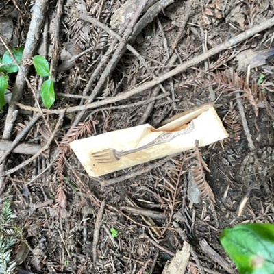 Trash near Reinhardt-Redwood Regional Park, Shawnee Court, Oakland Hills, Oakland, Alameda County, CAL Fire Northern Region, California, 94516, United States