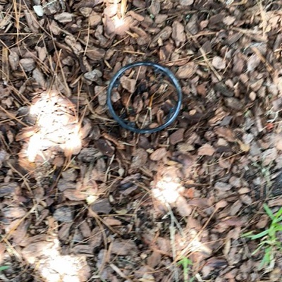 Trash near Hunters Ridge Boulevard, Ormond Beach, Volusia County, Florida, United States