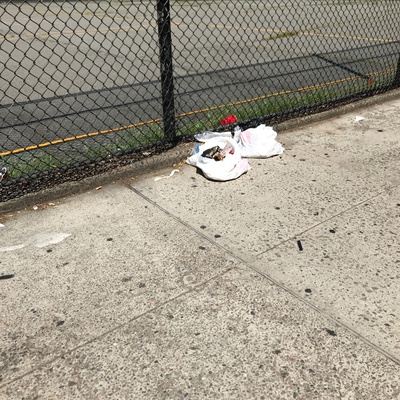 Trash near 330 East 117th Street, New York