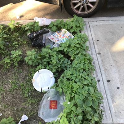 Trash near 191 East 117th Street, New York City