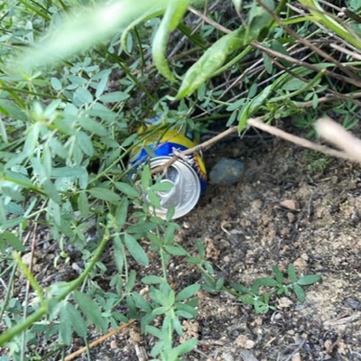 Trash near Aliso Peak Trail, Laguna Beach, Orange County, California, 92607, United States