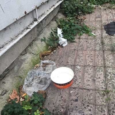 Trash near Yıldırım Belediyesi Çelebi Mehmet Katlı Otoparkı, Eşrefiler Sokak, Karaağaç Mahallesi, Yıldırım, Bursa, Marmara Region, 16010, Turkey-3e8b