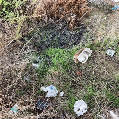 Trash near Best Western, West Side Freeway, Bakersfield, Kern County, California, 93206, United States