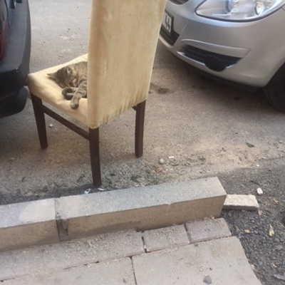 Trash near Çelebi Mehmet Lisesi, İpekçilik Caddesi, Karaağaç Mahallesi, Yıldırım, Bursa, Marmara Region, 16230, Turkey