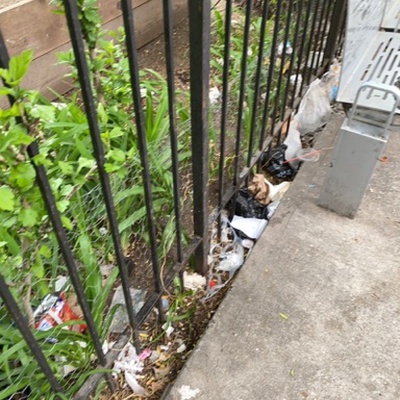 Trash near El Gallo Social Club Inc., East 118th Street, East Harlem, Manhattan Community Board 11, Manhattan, New York County, New York, 10035, United States