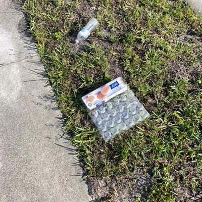 Trash near Hunters Ridge Boulevard, Flagler County, Florida, 32175, United States