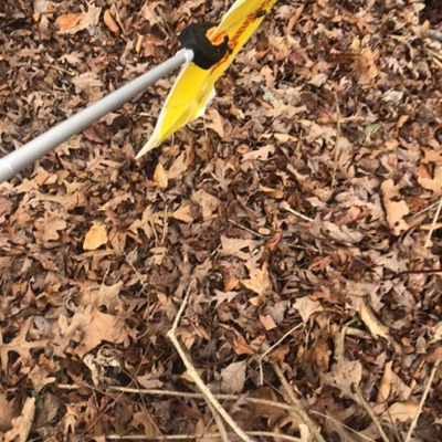 Trash near 12217, Asbury Drive, Tantallon Hills, Piscataway Hills, Fort Washington, Prince George's County, Maryland, 20744, United States