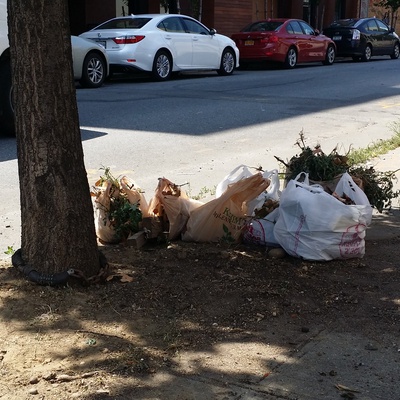 Leftover trash near tree on N 10th