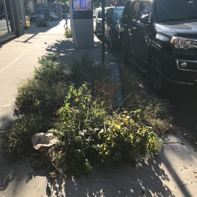 Trash near 188 East 117th Street, New York