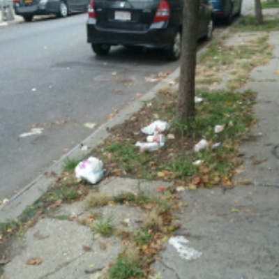 Trash near 441 Manhattan Ave, Brooklyn, NY 11222, USA