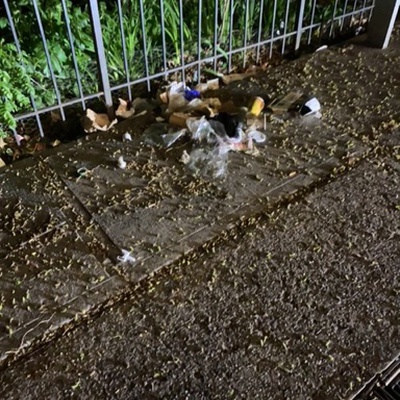 Trash near Lexington Avenue & East 119th Street, Lexington Avenue, East Harlem, Manhattan, New York County, New York, 10037, United States