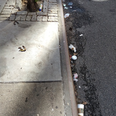 Trash near 329 East 63rd Street, New York