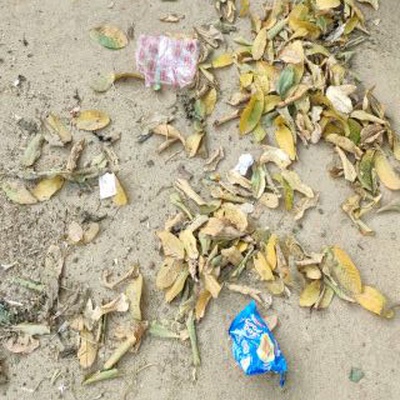 Trash near Dudhi, Sonbhadra, Uttar Pradesh, 231208, India