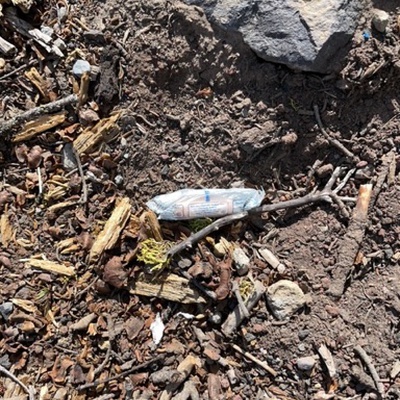 Trash near Bunny Flat Trailhead, Everitt Memorial Highway, Siskiyou County, California, 96067, United States