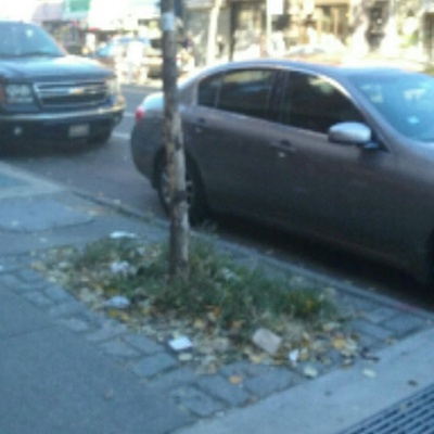 Trash near 1001 Manhattan Ave, Brooklyn, NY 11222, USA