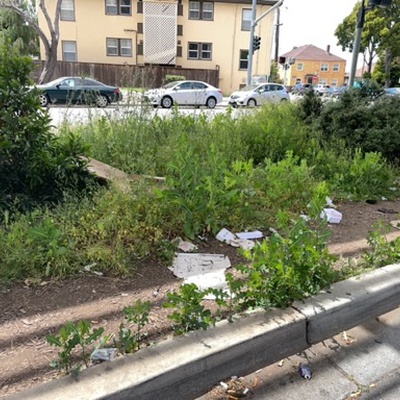 Trash near Martin Luther King Junior Way, Longfellow, North Oakland, Oakland, Alameda County, CAL Fire Northern Region, California, 94609, United States