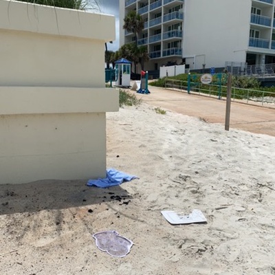 Trash near Milsap Road, Ormond Beach, Volusia County, Florida, 32176-8105, United States
