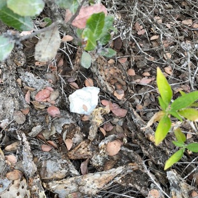 Trash near Aliso Peak Trail, Laguna Niguel, Orange County, California, 92651, United States