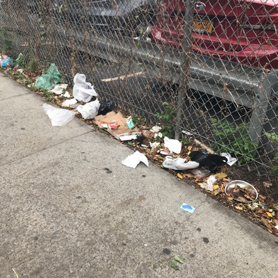 Trash near 1697 Park Avenue, New York