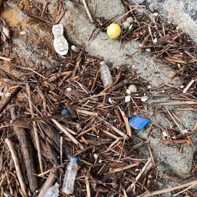 Trash near 30801, Pacific Coast Highway, Laguna Beach, Orange County, California, 92651, United States