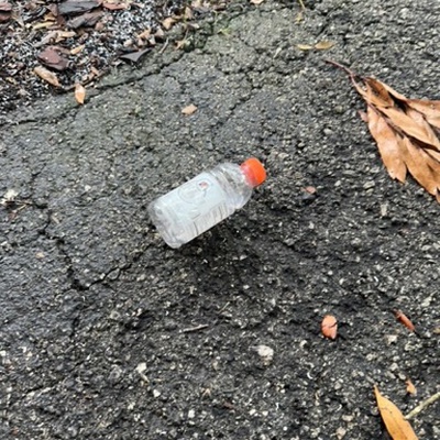 Trash near 13436, Byrd Drive, Odessa Industrial Park, Gulf Pine, Pasco County, Florida, 33556, United States