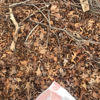 Trash near 12216, Asbury Drive, Tantallon Hills, Piscataway Hills, Fort Washington, Prince George's County, Maryland, 20744, United States