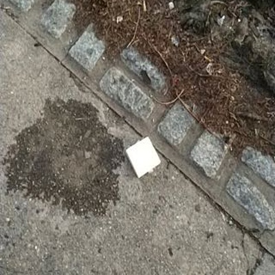 Trash near Public School 171, 30th Avenue, Astoria, Queens, Queens County, New York, 11102, United States of America-z272