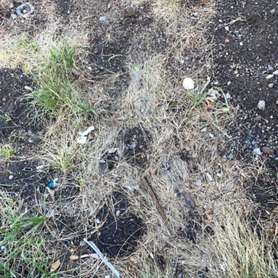 Trash near Old Mammoth Road, Mammoth Lakes, Mono County, California, 93546, United States