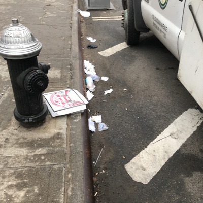 Trash near 73 East 118th Street, New York City