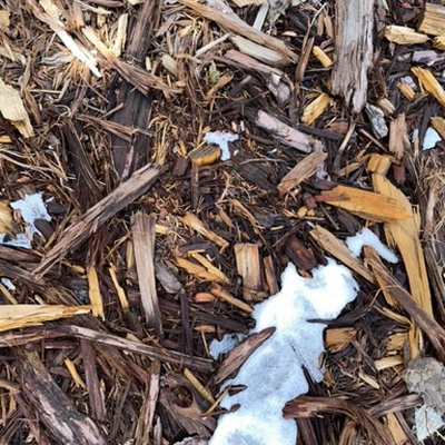 Trash near The Westin Monache Resort, Mammoth, 50, Hillside Drive, Mammoth Lakes, Mono County, California, 93546, United States